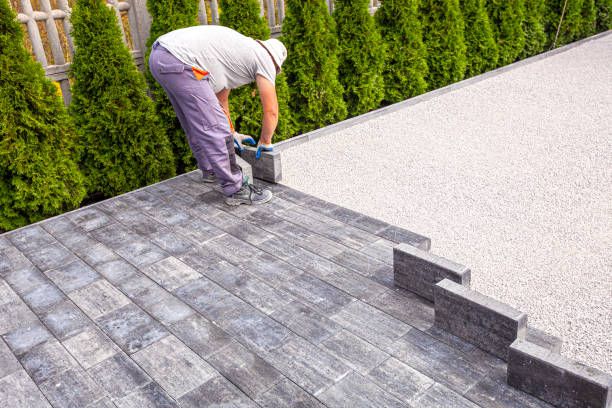 Best Driveway Paving Contractor  in Cambridge, IL