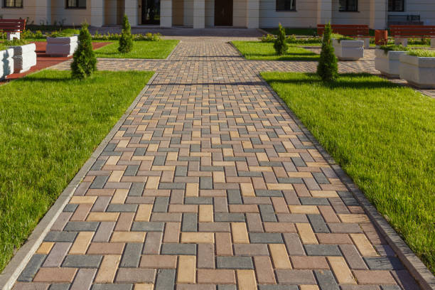 Best Driveway Repair Near Me  in Cambridge, IL