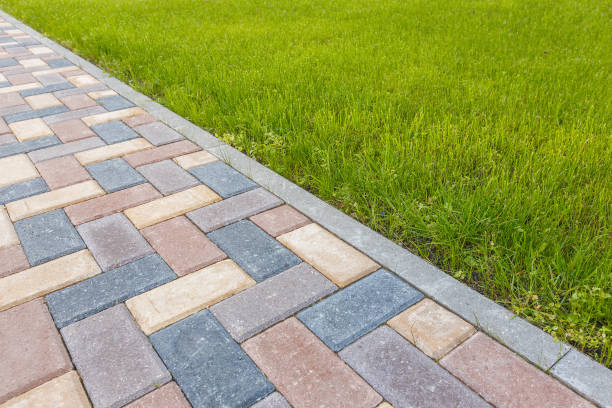 Best Driveway Paving Contractor  in Cambridge, IL